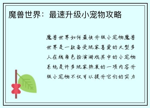 魔兽世界：最速升级小宠物攻略